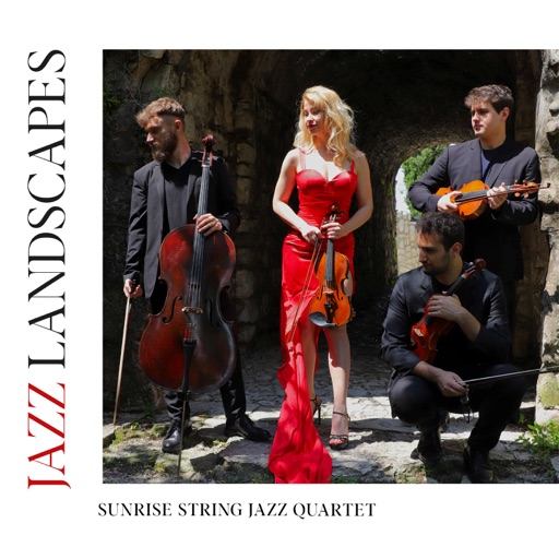 Copertina Jazz Landscapes